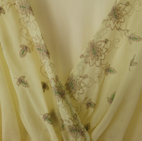 Vintage Sheer Dress - Picture 3 of 3